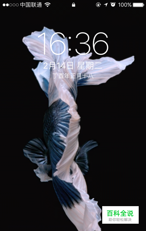 iPhone7中墙纸设置“动态、静态、Live”的区别