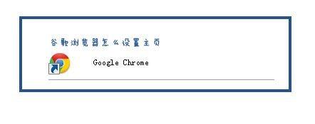 google chrome浏览器怎么设置主页-风君雪科技博客