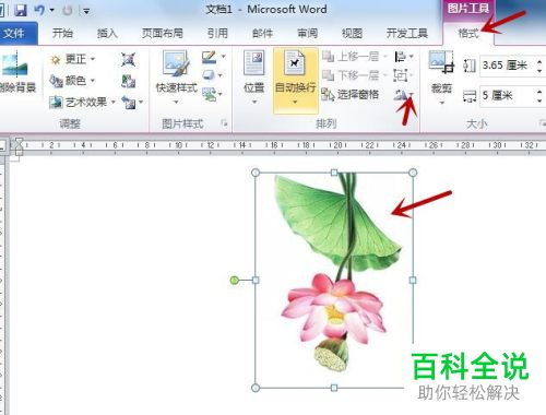 怎麼旋轉word文檔中的圖片