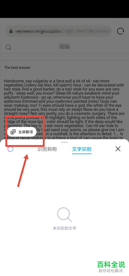 如何使用手机上的全屏翻译功能-风君雪科技博客