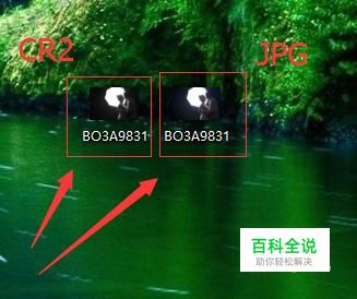 CR2格式怎么转换成JPG格式-风君子博客
