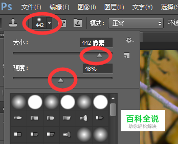 Photoshop印章工具-编程知识网