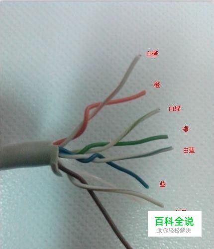 网线怎么接水晶头-风君雪科技博客