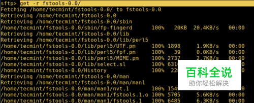 what-is-basename-command-in-shell-script-fedingo