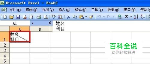 Excel单元格内如何添加多条斜线并添加内容？-冯金伟博客园