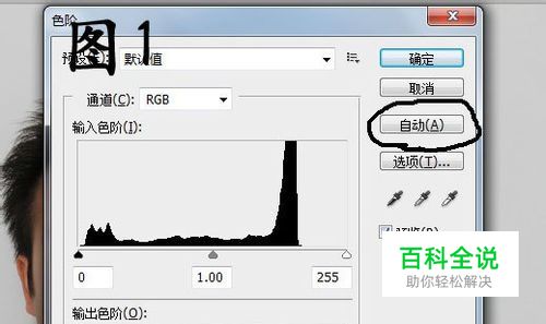 拍白底照片的软件图片