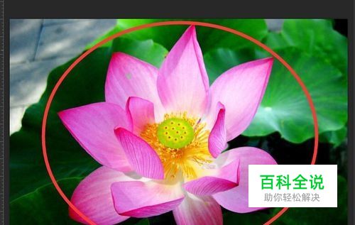 Photoshop cs6教程：[34]使用颜色替换工具-编程知识网