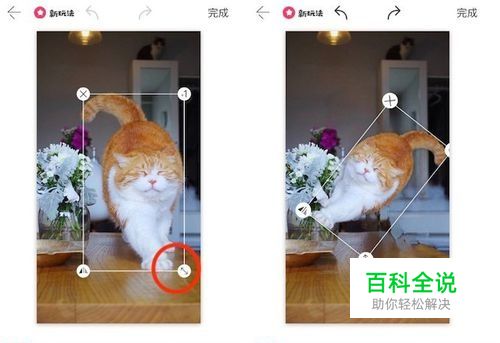 马卡龙玩图app 怎么用？使用方法详解-风君子博客