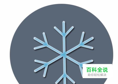 设计雪花图标-编程知识网