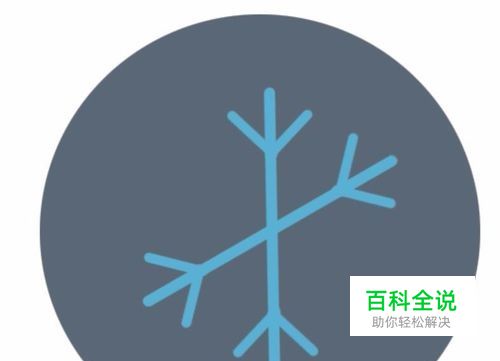 设计雪花图标-编程知识网