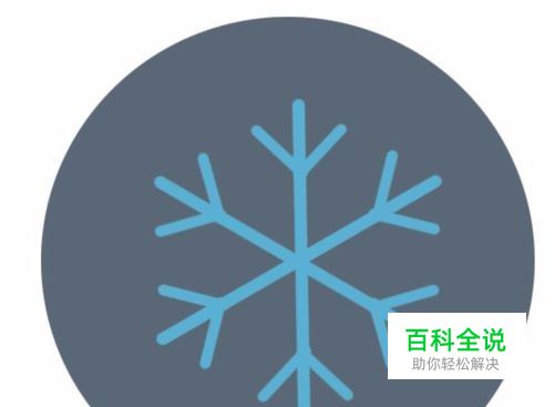 设计雪花图标-编程知识网