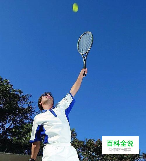 章鱼直播攻略-冯金伟博客园
