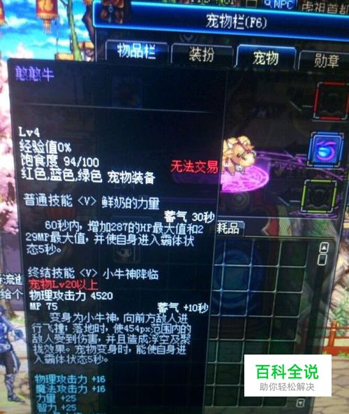 dnf宠物免费领取的方法-冯金伟博客园 dnf宠物免费领取的方法-冯金伟博客园
