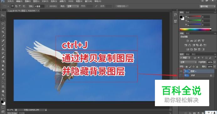 photoshop如何进行通道抠图? 【百科全说】