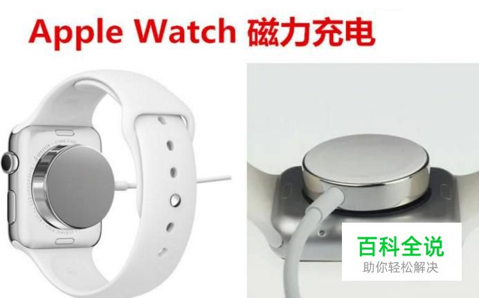 苹果手表Apple Watch怎么充电？-风君雪科技博客