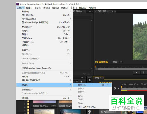 如何从premiere导出MP4格式文件？-编程知识网