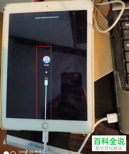 平板電腦提示ipad已停用連接itunes怎麼辦